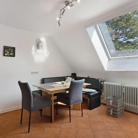 Hog , * Ringsheim