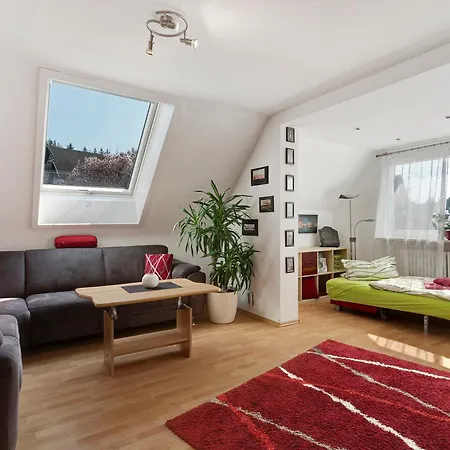 Hog , Apartment Ringsheim