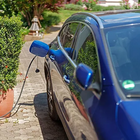 Hog , * 灵斯海姆