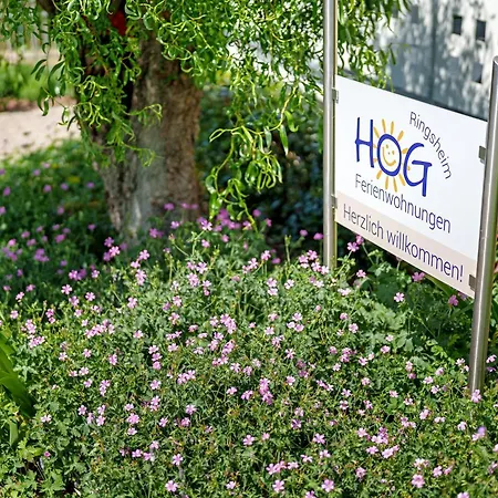 Hog , Lägenhet Ringsheim